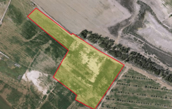 CV1039, Large piece of land for sale in Meneou