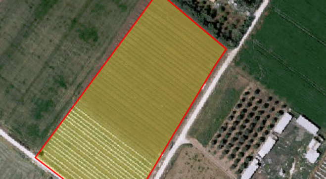 Agricultural land for sale in Kiti