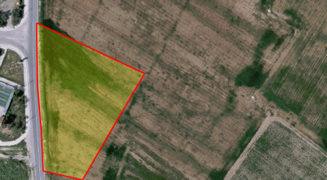For sale agricultural land in Kiti