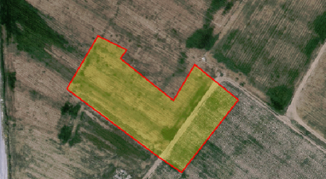 Agricultural land for sale in Kiti village.