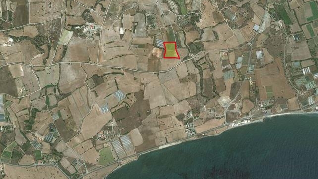 Agricultural land for sale in Agios Theodoros.