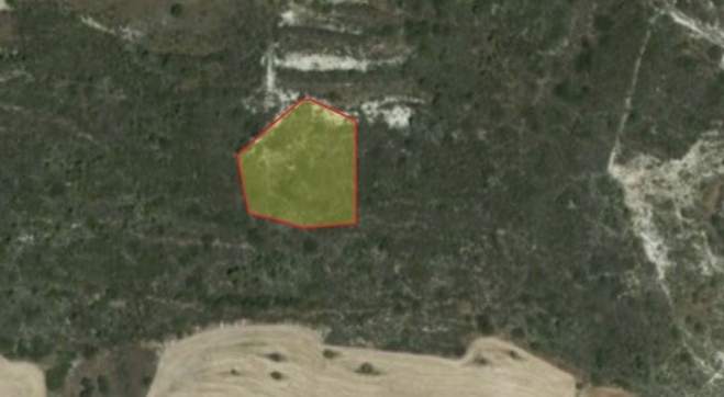 AGRICULTURAL LAND FOR SALE IN KALAVASO