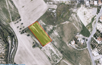 CV870, Agricultural land in Tersefanou