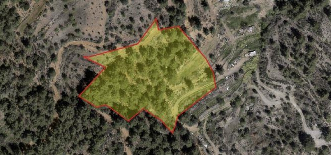 Agricultural land for sale in the pine forest of Vavatsinia.