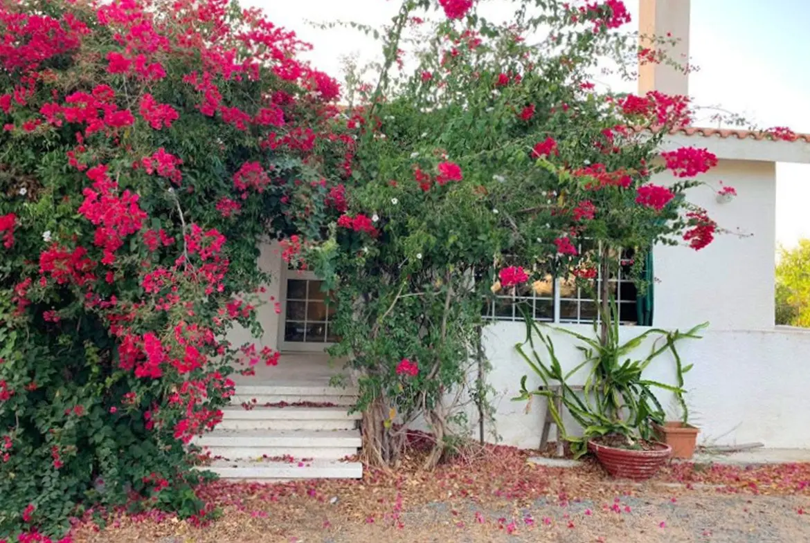 3 bed Bungalow for sale in a huge land in Monagroulli (7) 3 bed Bungalow for sale in a huge land in Monagroulli