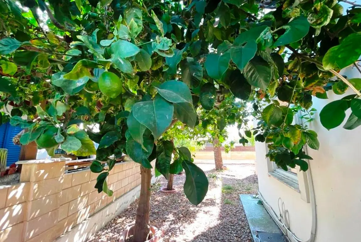 3 bed house with large garden and pool near the beach in Meneou (10)