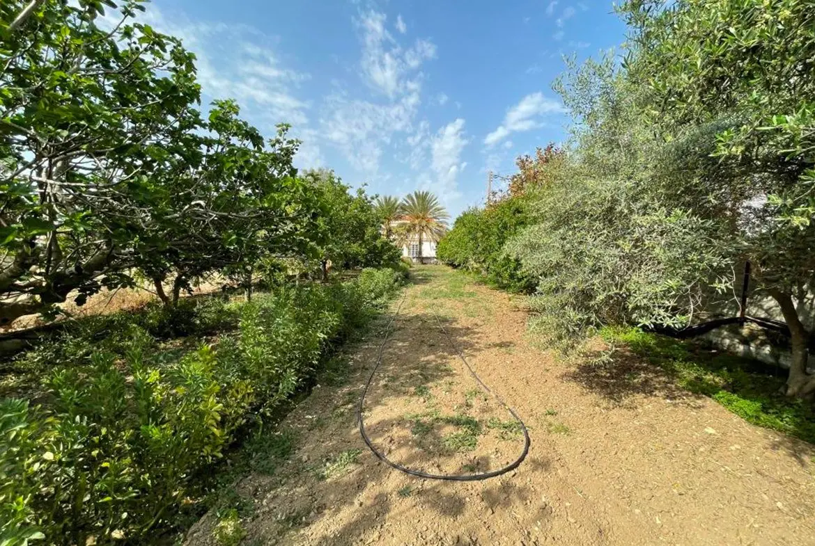 3 bedroom villa for sale in Kiti (26) 3 bedroom villa for sale in Kiti