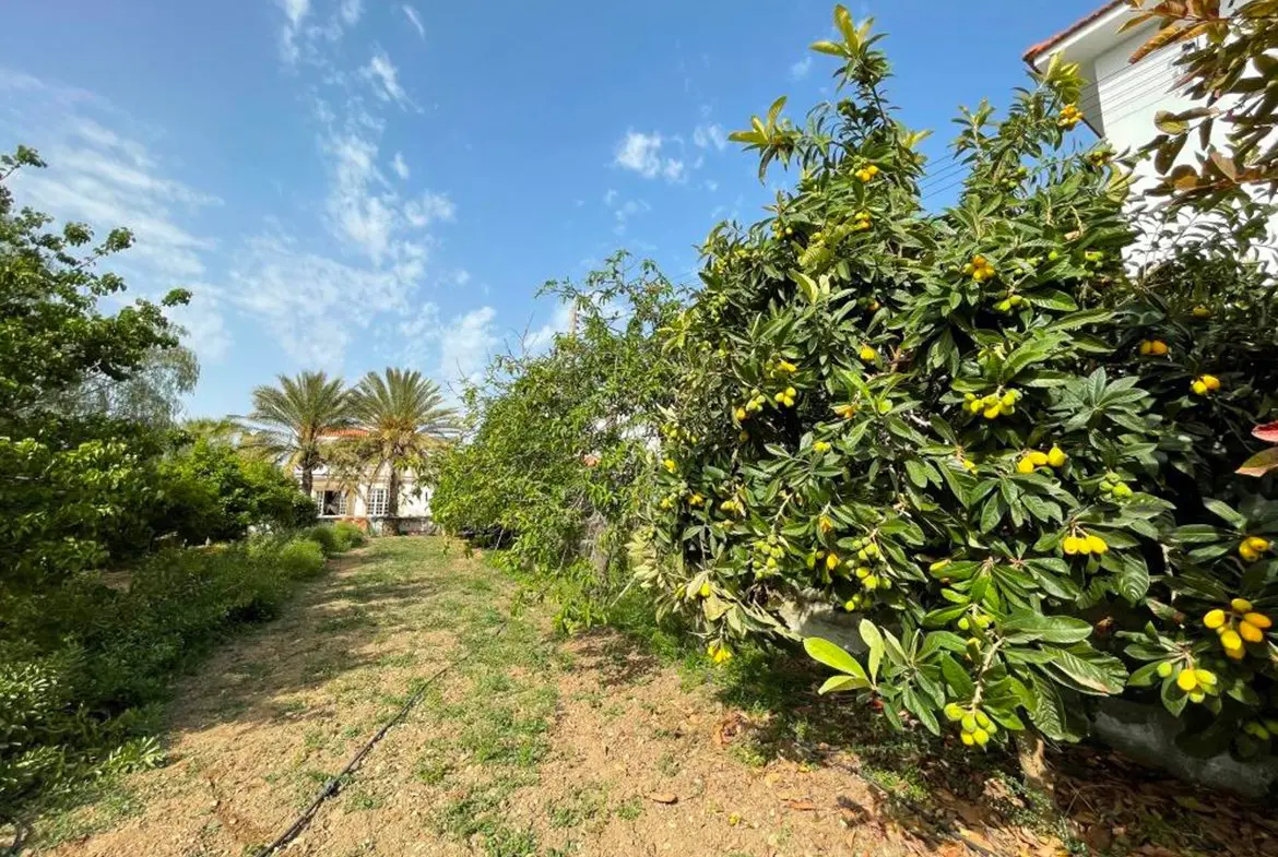 3 bedroom villa for sale in Kiti (27) 3 bedroom villa for sale in Kiti