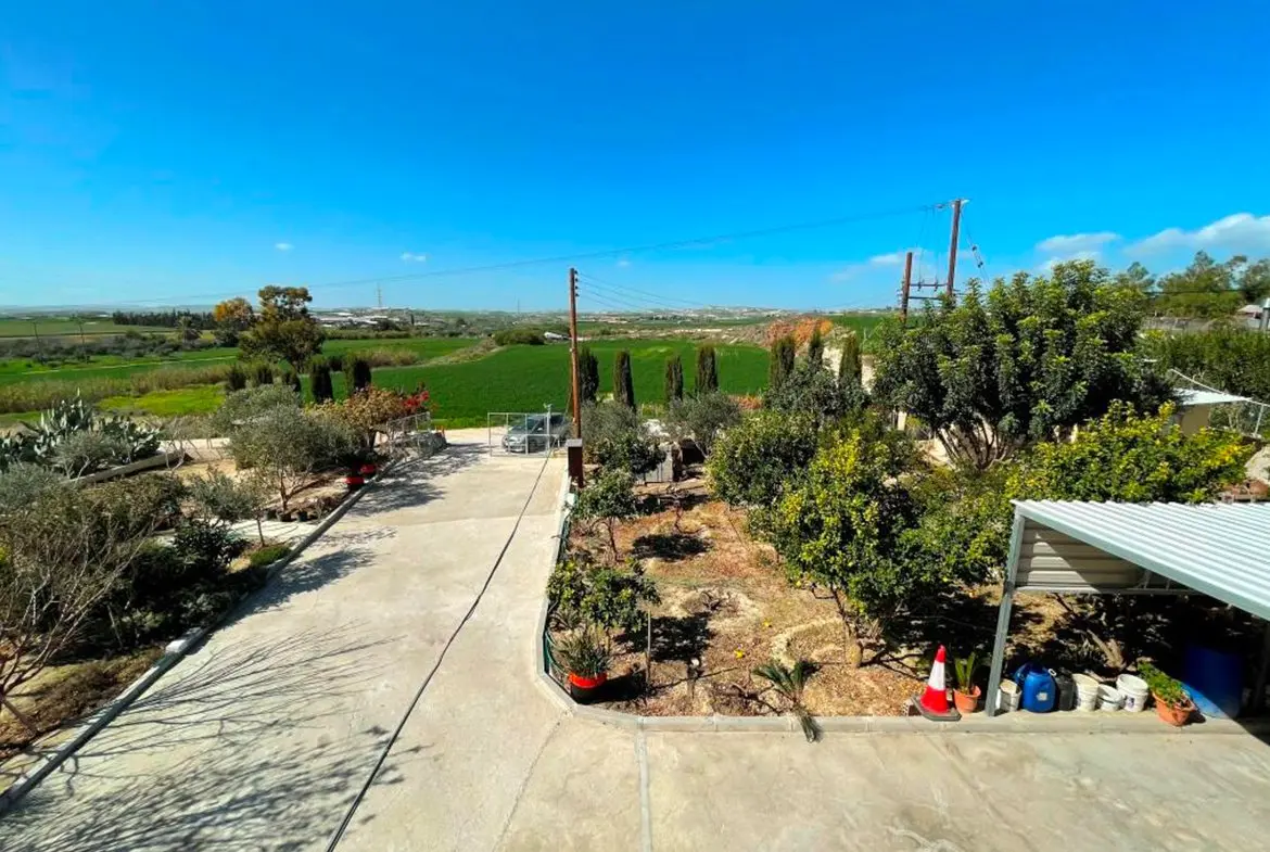 Agricultural bungalow full of trees in Kellia for sale (10) Agricultural bungalow full of trees in Kellia for sale