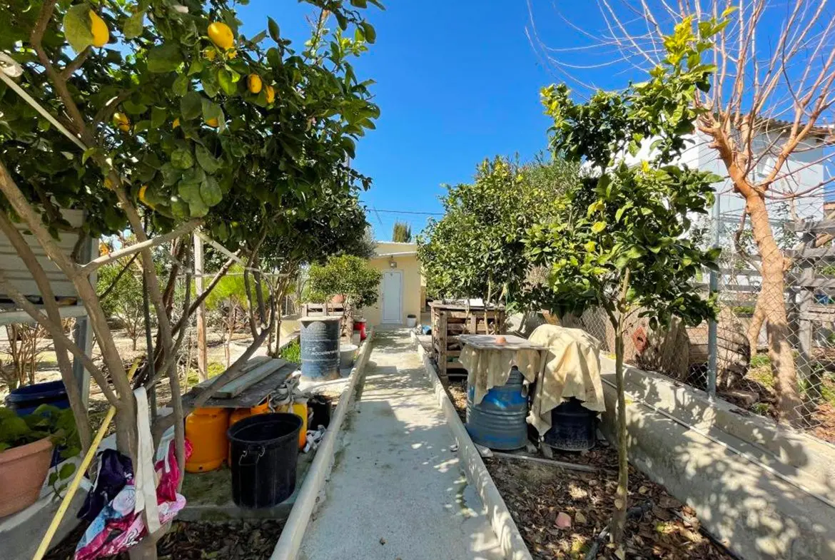 Agricultural bungalow full of trees in Kellia for sale (11)