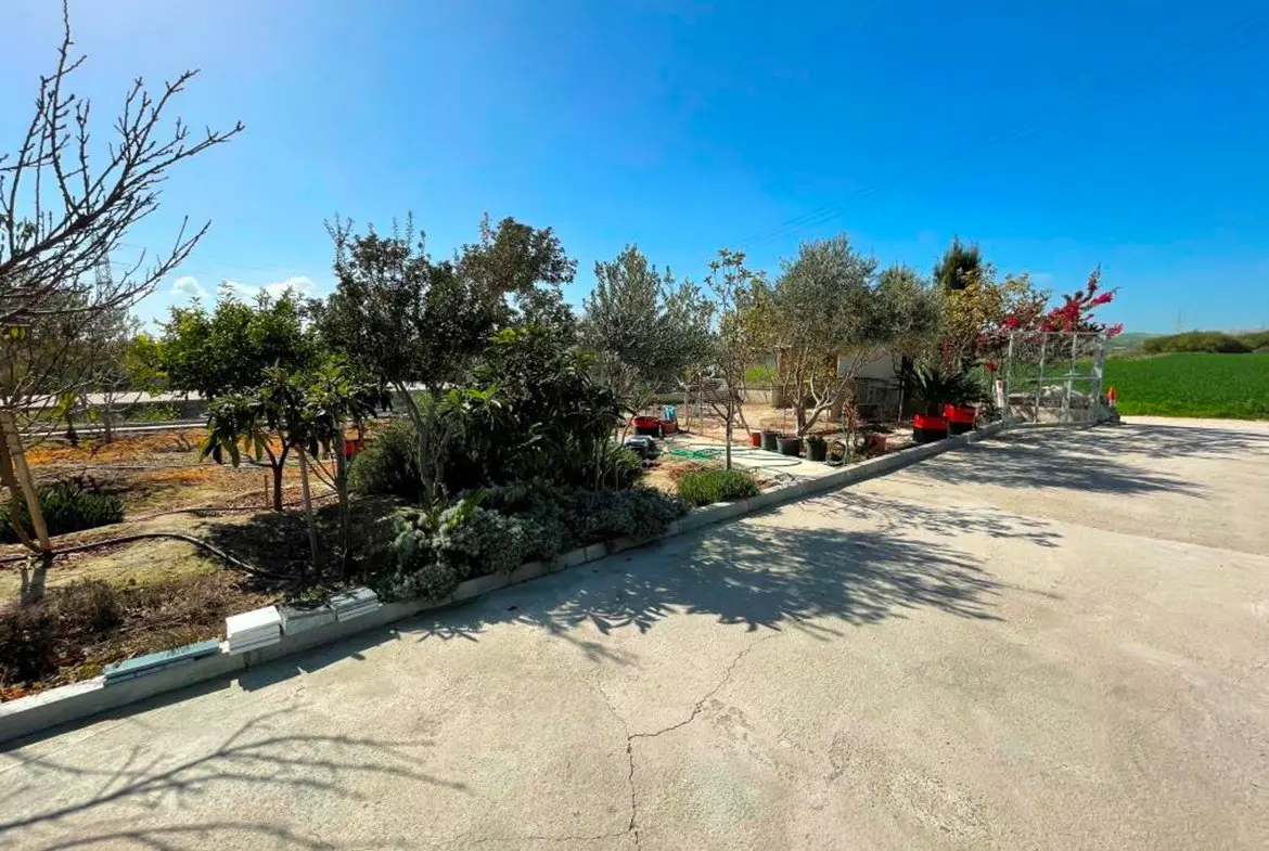 Agricultural bungalow full of trees in Kellia for sale (12) Agricultural bungalow full of trees in Kellia for sale