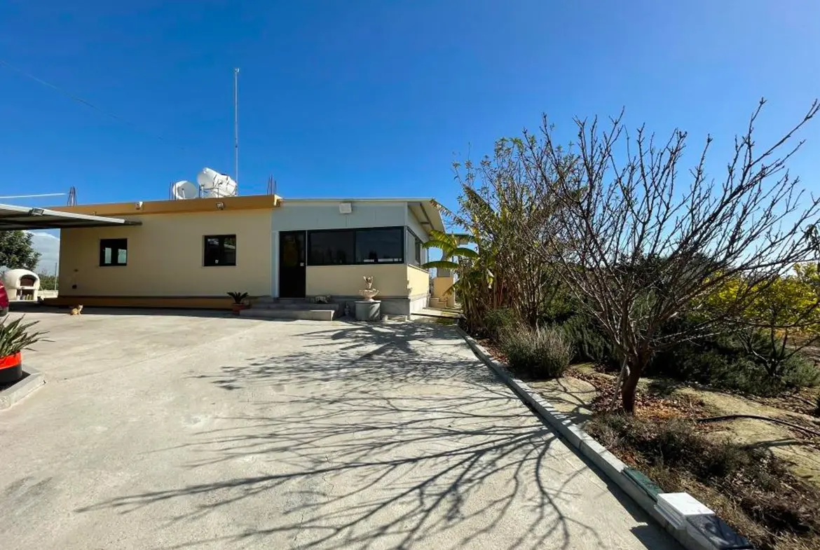 Agricultural bungalow full of trees in Kellia for sale (13) Agricultural bungalow full of trees in Kellia for sale