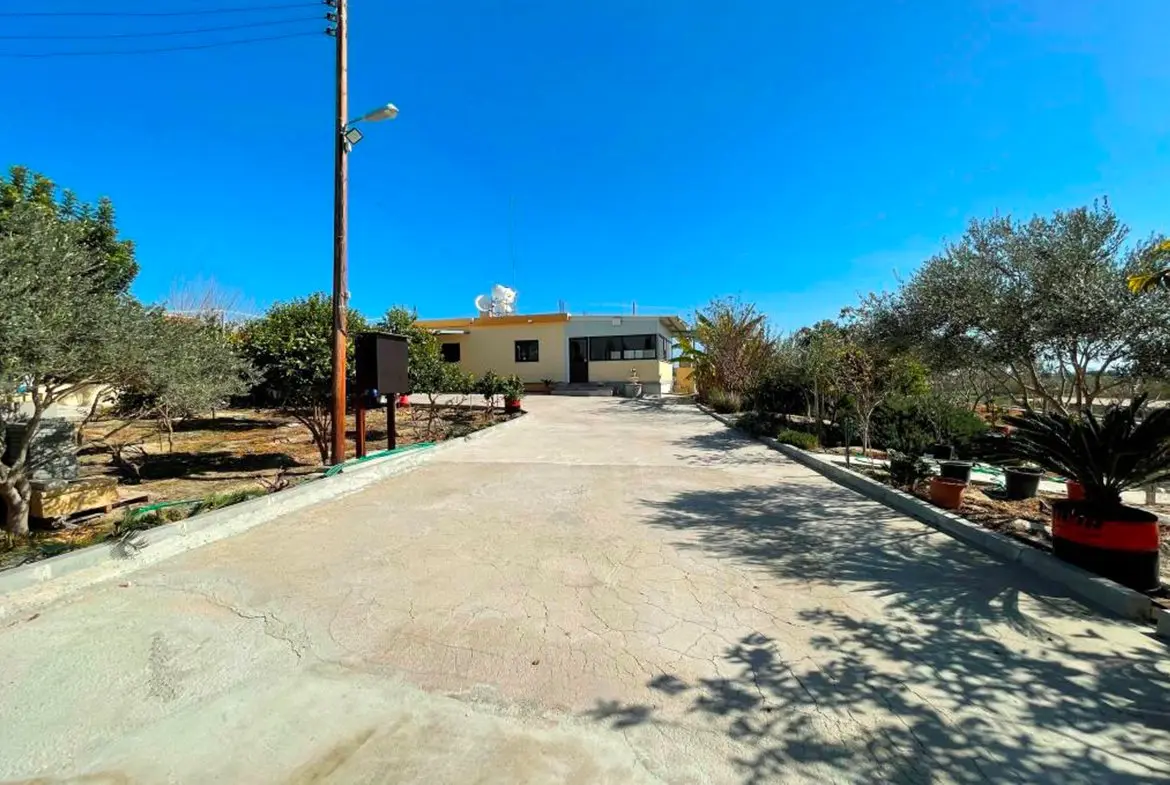 Agricultural bungalow full of trees in Kellia for sale (14) Agricultural bungalow full of trees in Kellia for sale