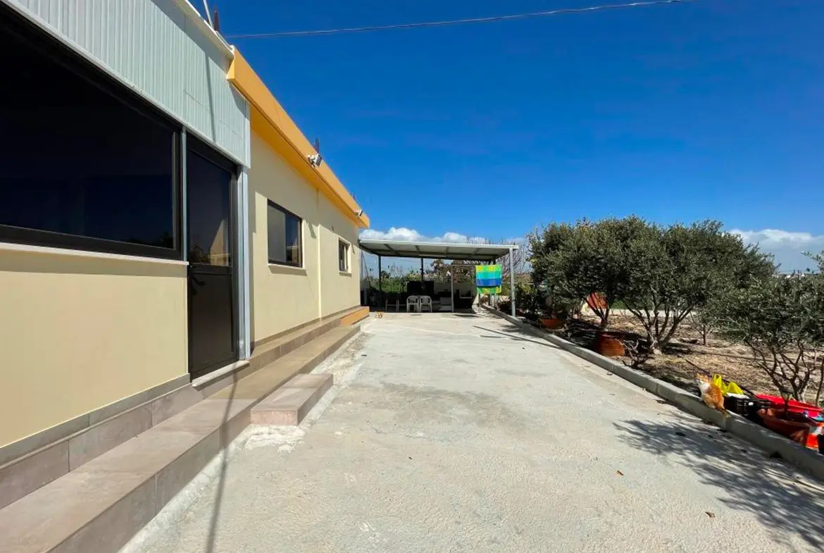 Agricultural bungalow full of trees in Kellia for sale (28) Agricultural bungalow full of trees in Kellia for sale