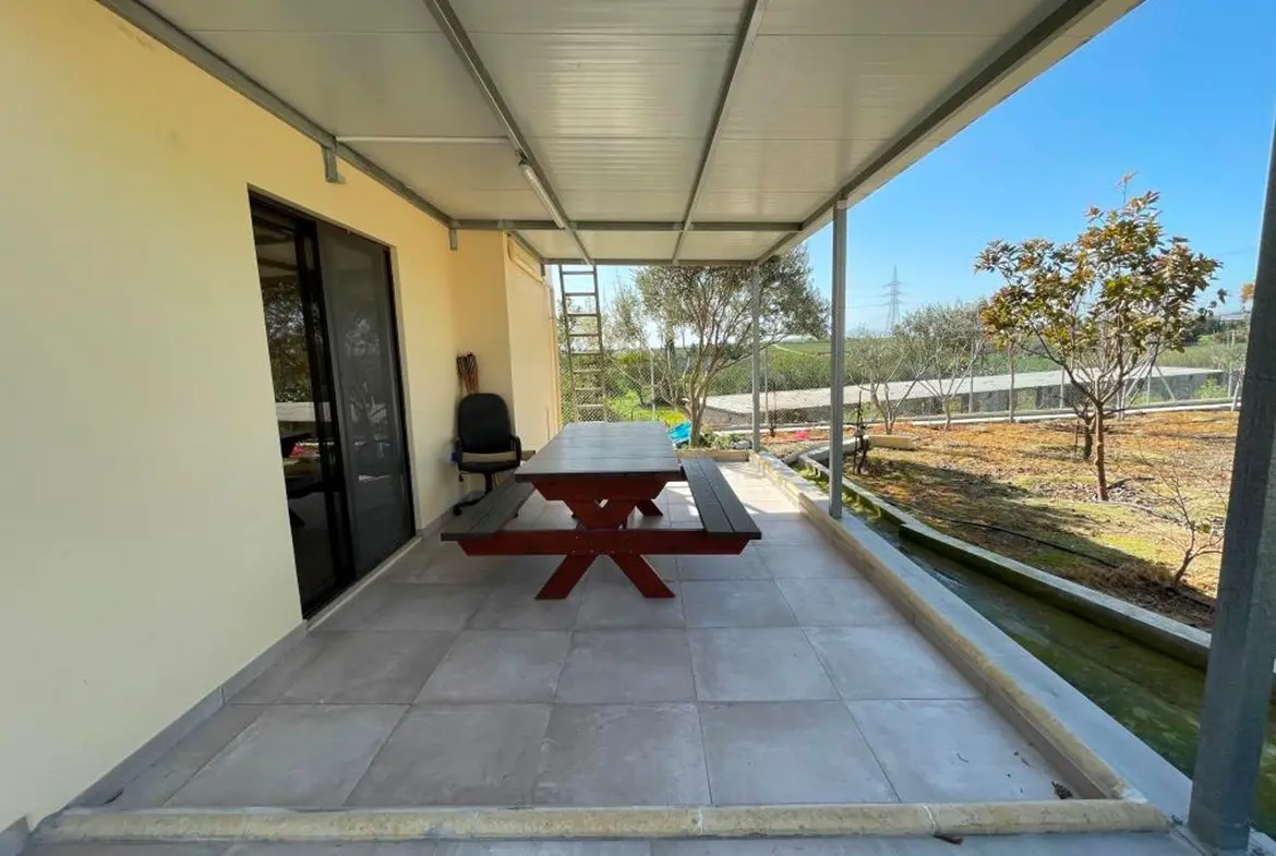 Agricultural bungalow full of trees in Kellia for sale (30) Agricultural bungalow full of trees in Kellia for sale