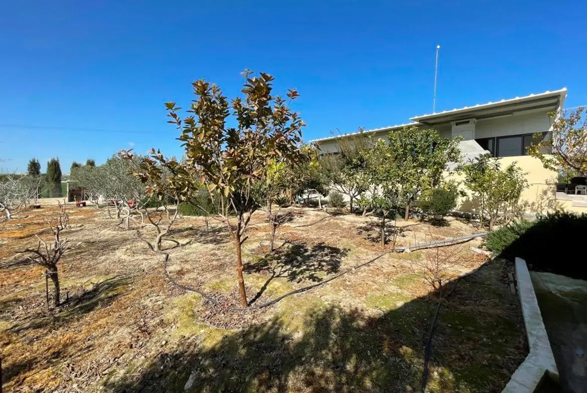 Agricultural bungalow full of trees in Kellia for sale (31) Agricultural bungalow full of trees in Kellia for sale