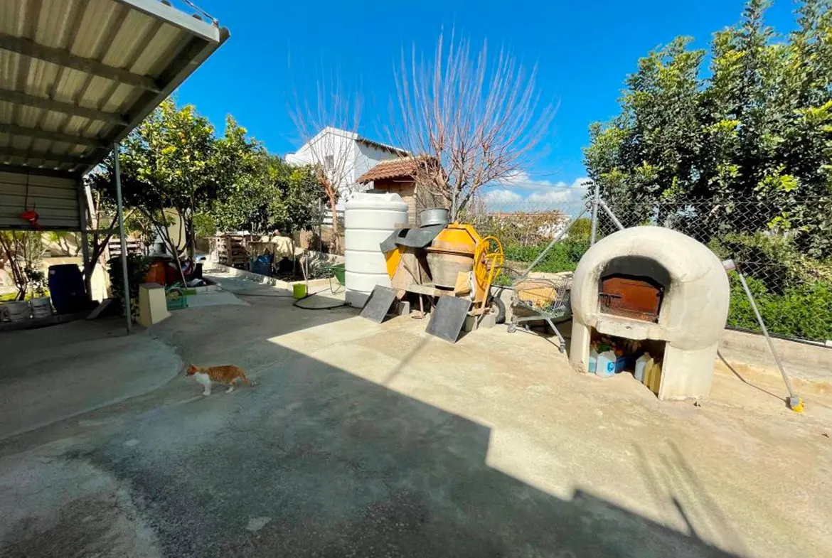 Agricultural bungalow full of trees in Kellia for sale (7)