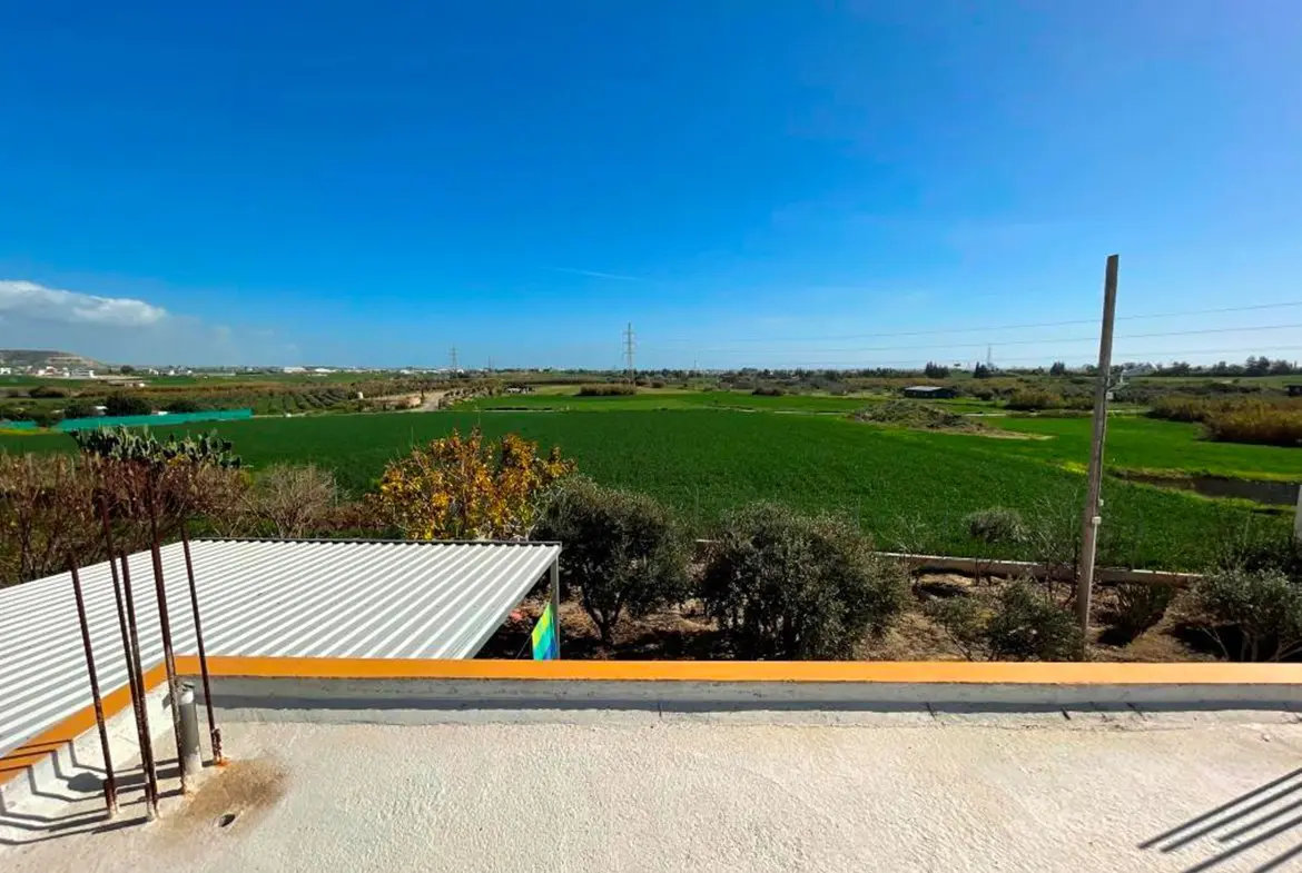 Agricultural bungalow full of trees in Kellia for sale (8) Agricultural bungalow full of trees in Kellia for sale