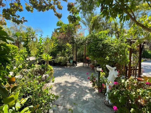 Detached house for sale in a huge land in Pervolia