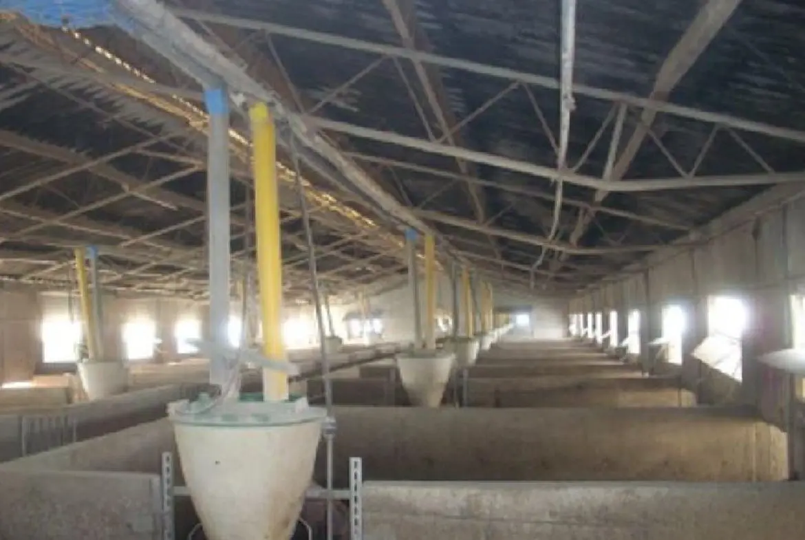 FARM FOR SALE IN ARADIPPOU (1) FARM FOR SALE IN ARADIPPOU