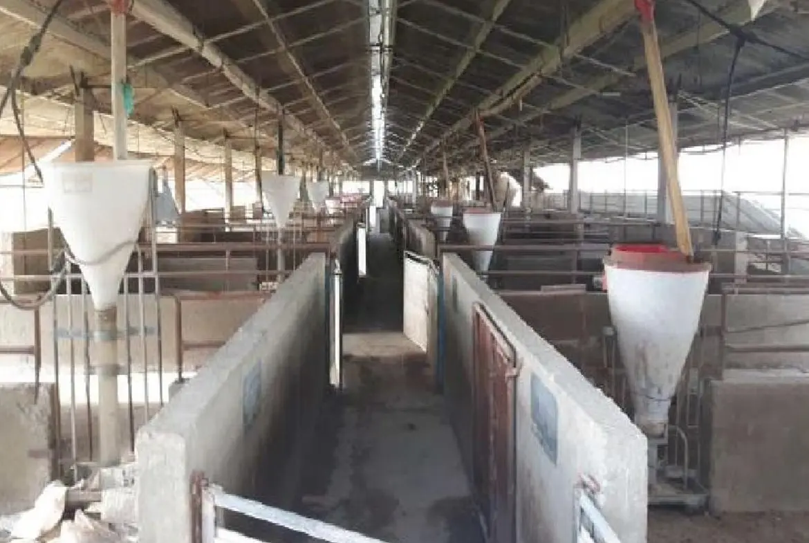 FARM FOR SALE IN ARADIPPOU (1) FARM FOR SALE IN ARADIPPOU