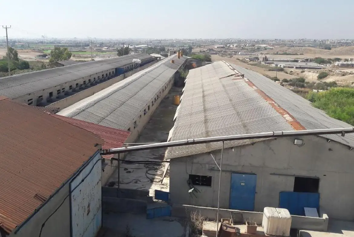 FARM FOR SALE IN ARADIPPOU (2) FARM FOR SALE IN ARADIPPOU