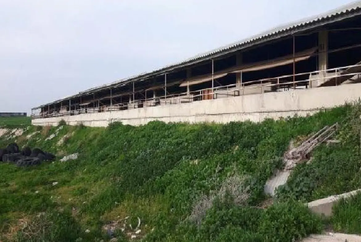 FARM FOR SALE IN ARADIPPOU (2) FARM FOR SALE IN ARADIPPOU