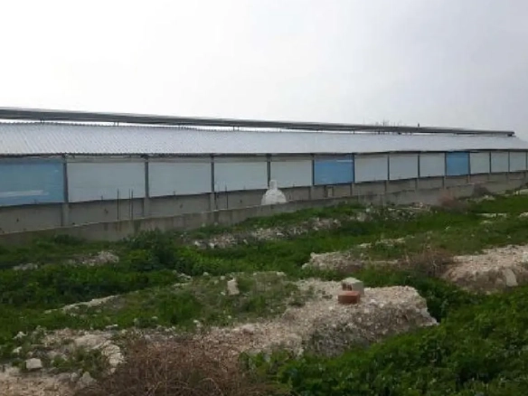 FARM FOR SALE IN ARADIPPOU