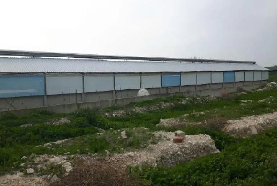 FARM FOR SALE IN ARADIPPOU (4) FARM FOR SALE IN ARADIPPOU