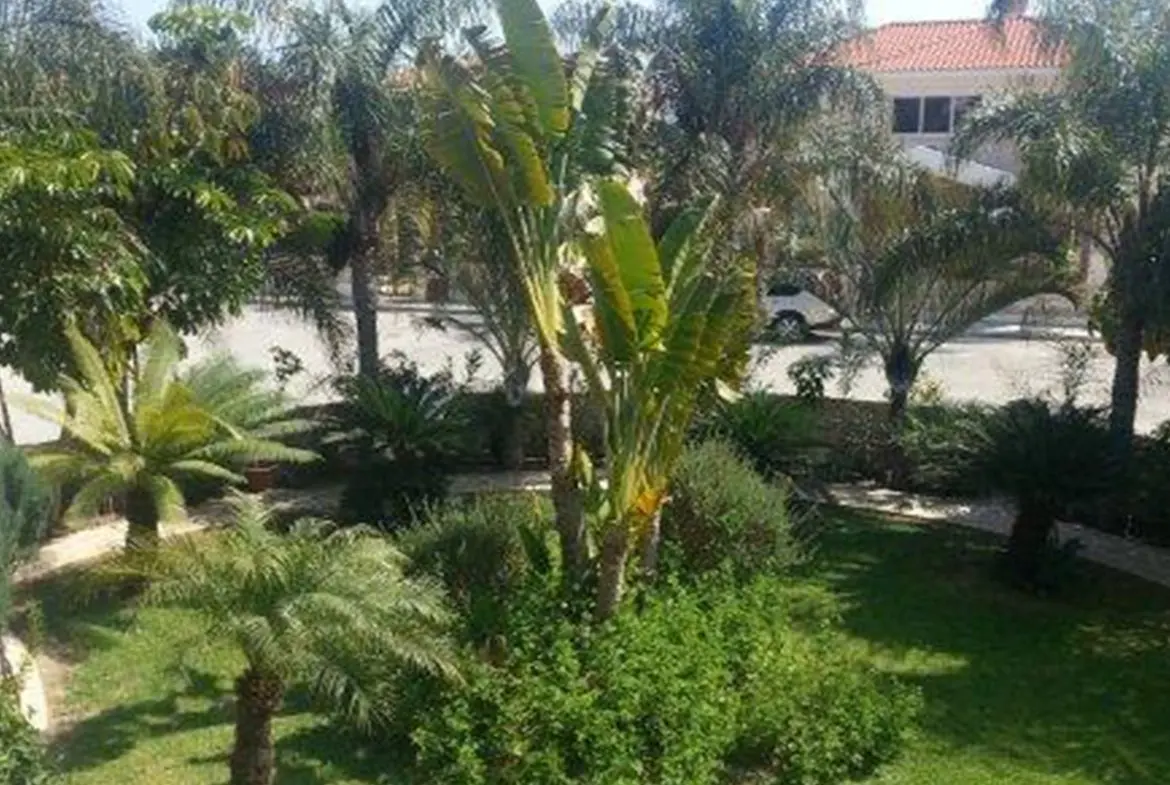 House for sale near the beach in Meneou (15) House for sale near the beach in Meneou