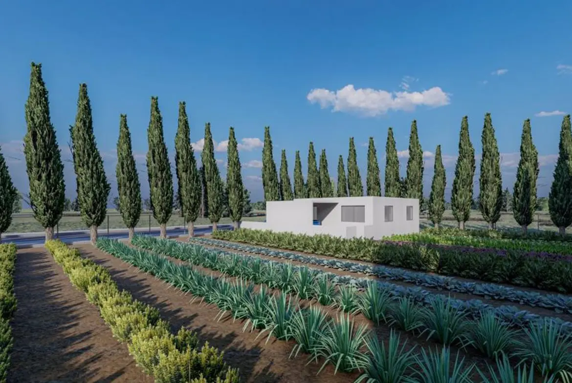 Luxury 4 bed villa for sale in Pervolia near the sea (12) Luxury 4 bed villa for sale in Pervolia near the sea