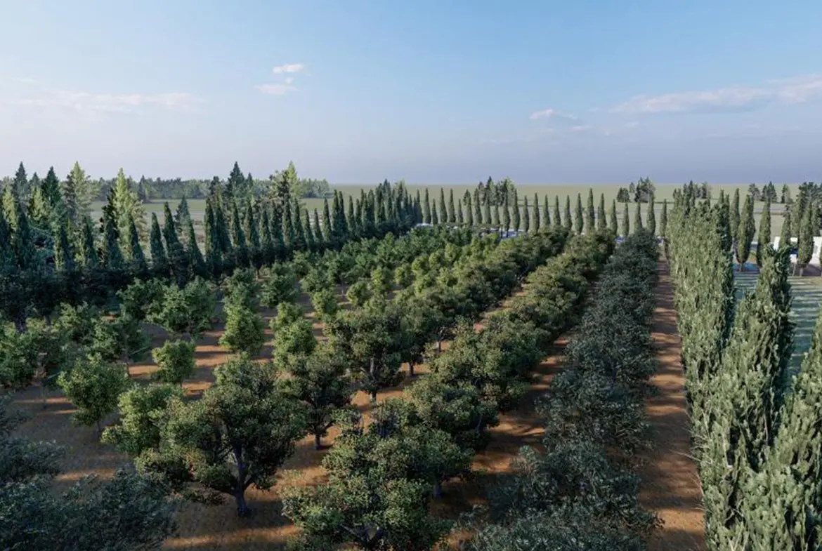 Luxury 4 bed villa for sale in Pervolia near the sea (15)