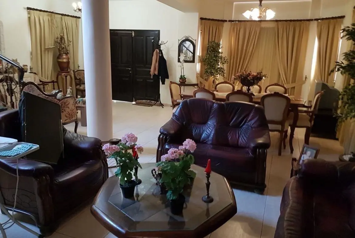 Modern house for sale in Vergina (1)