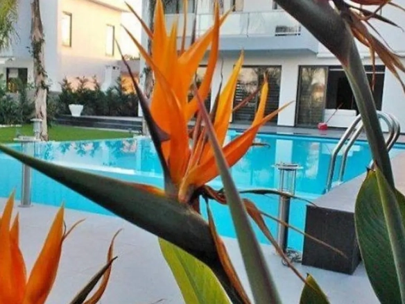 Three bedroom detached luxury house for sale in Pervolia with private pool