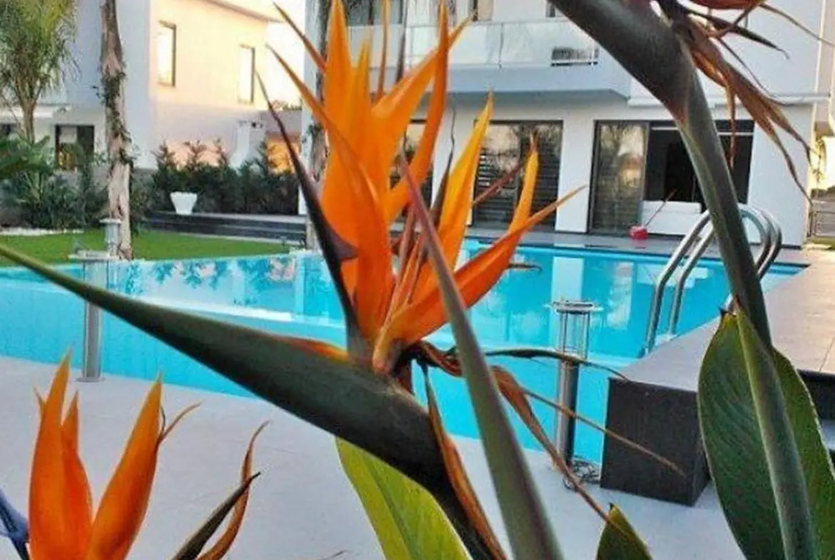 Three bedroom detached luxury house for sale in Pervolia with private pool (2) Three bedroom detached luxury house for sale in Pervolia with private pool