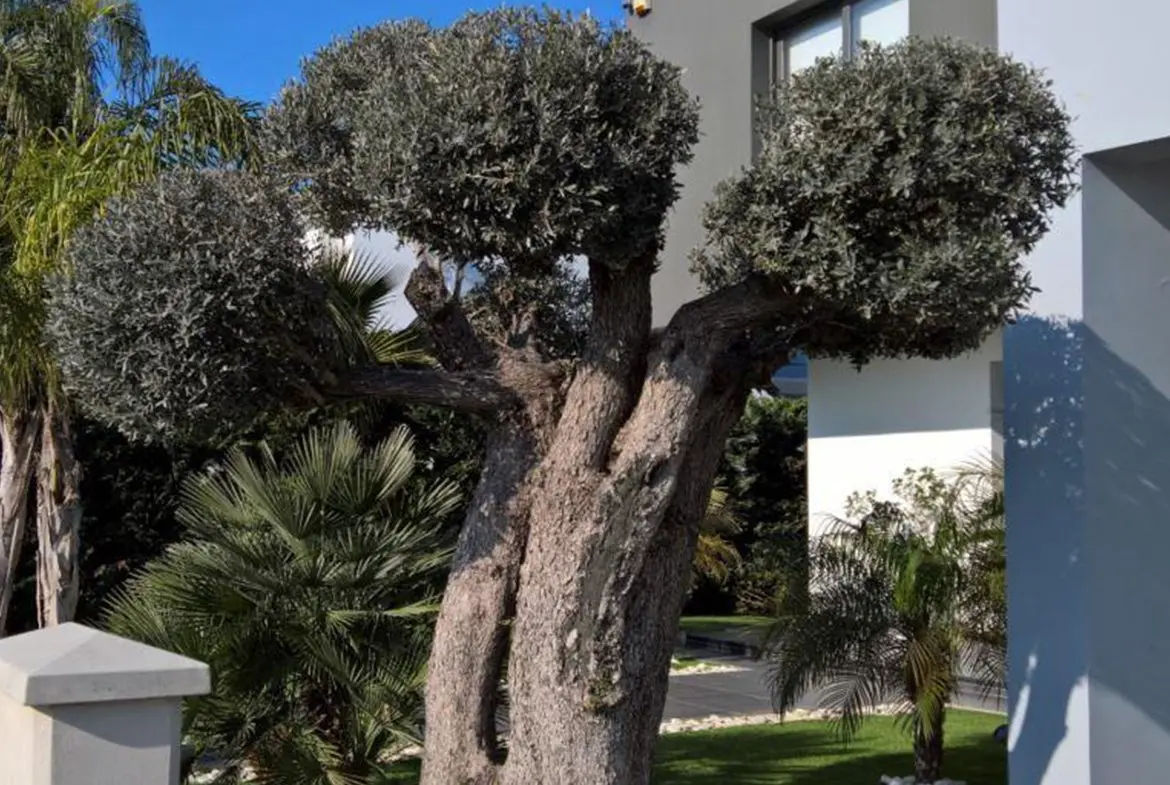 Three bedroom detached luxury house for sale in Pervolia with private pool (3) Three bedroom detached luxury house for sale in Pervolia with private pool