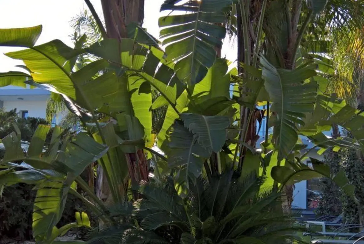 Three bedroom detached luxury house for sale in Pervolia with private pool (4) Three bedroom detached luxury house for sale in Pervolia with private pool