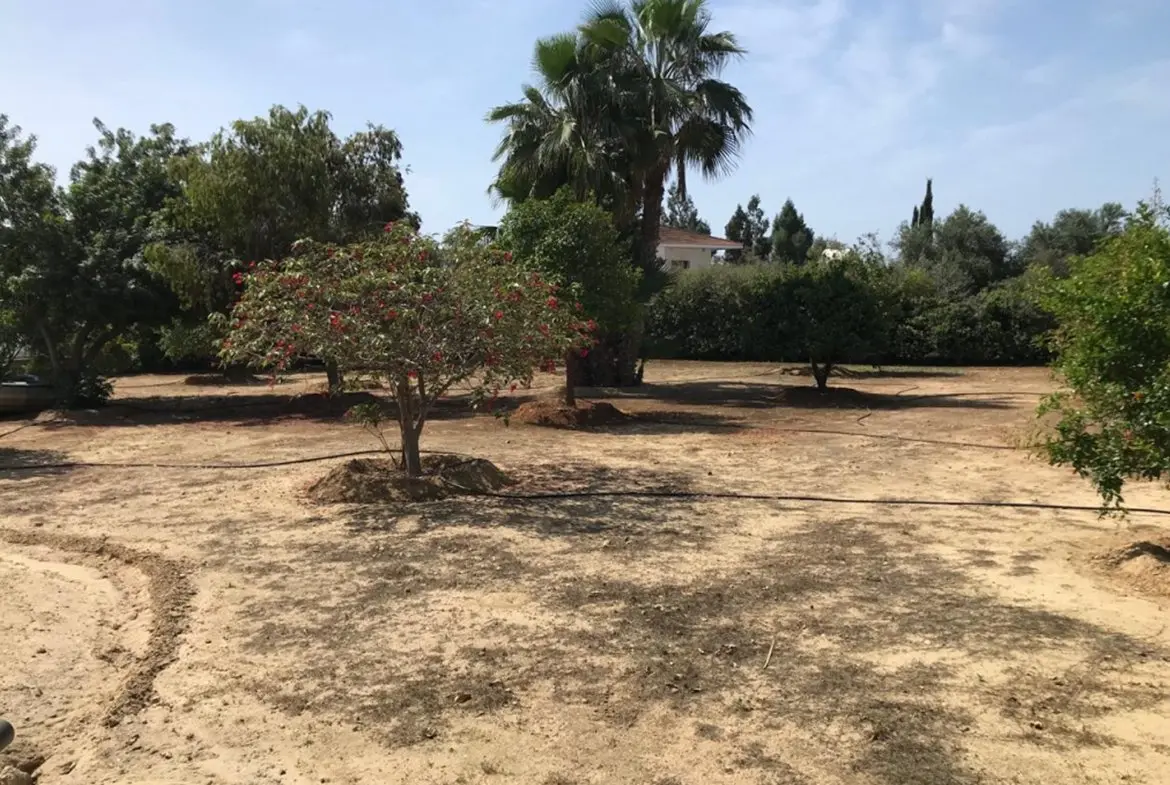 Three bedroom villa for sale in Ormideia (28)