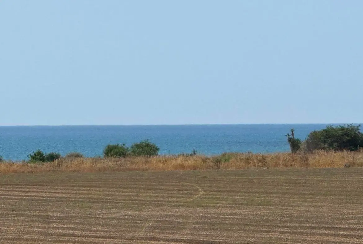 detached four bedroom villa (8) detached four bedroom villa for sale in Pervolia Larnaca