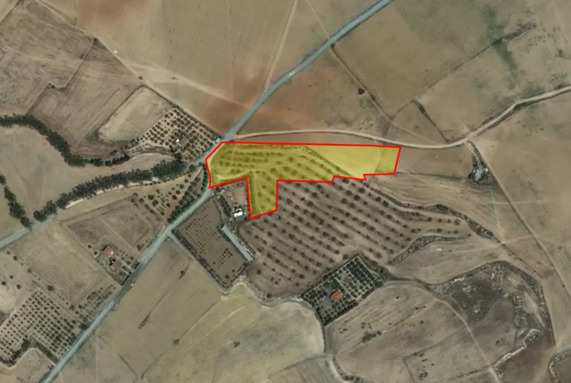 Agricultural-for-sale-in-Tersefanou