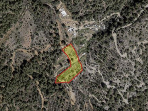 Agricultural land for sale Vavatsinia