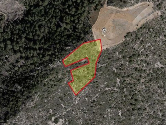 Agricultural land for sale in Agious Vavatsinias
