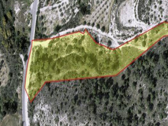 Agricultural land for sale in Alethriko