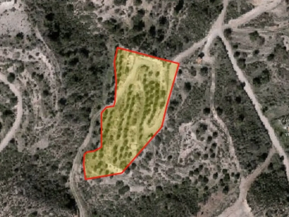 Agricultural land for sale in Lageia