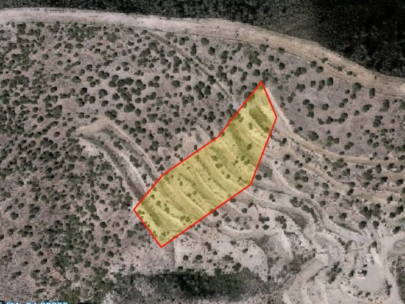 Agricultural land for sale in Lageia
