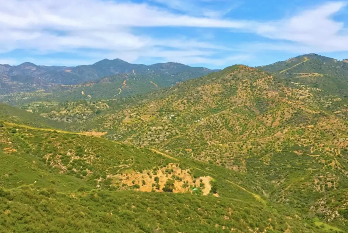 Agricultural land for sale in Lageia Larnaca (1) Agricultural land for sale in Lageia Larnaca