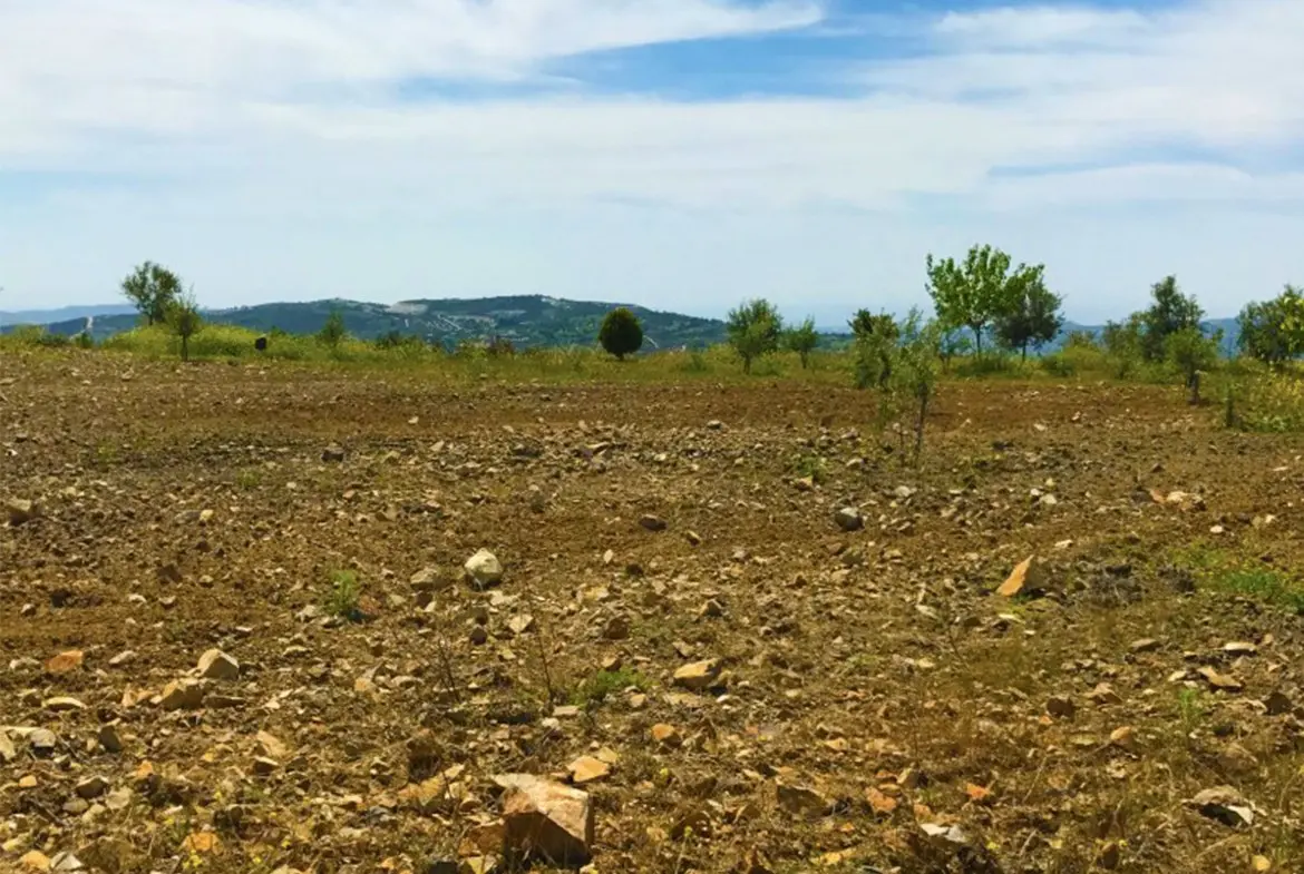 Agricultural land for sale in Lageia Larnaca (12)