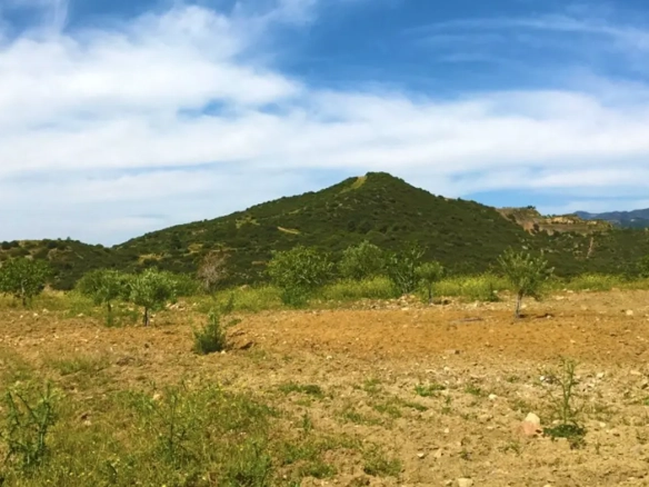 Agricultural land for sale in Lageia Larnaca