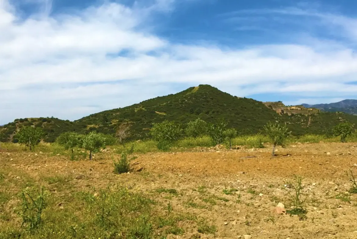 Agricultural land for sale in Lageia Larnaca (3) Agricultural land for sale in Lageia Larnaca