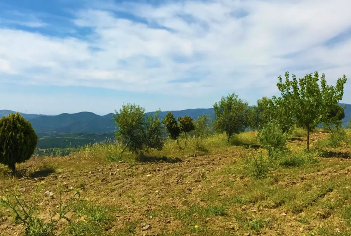 Agricultural land for sale in Lageia Larnaca (4) Agricultural land for sale in Lageia Larnaca